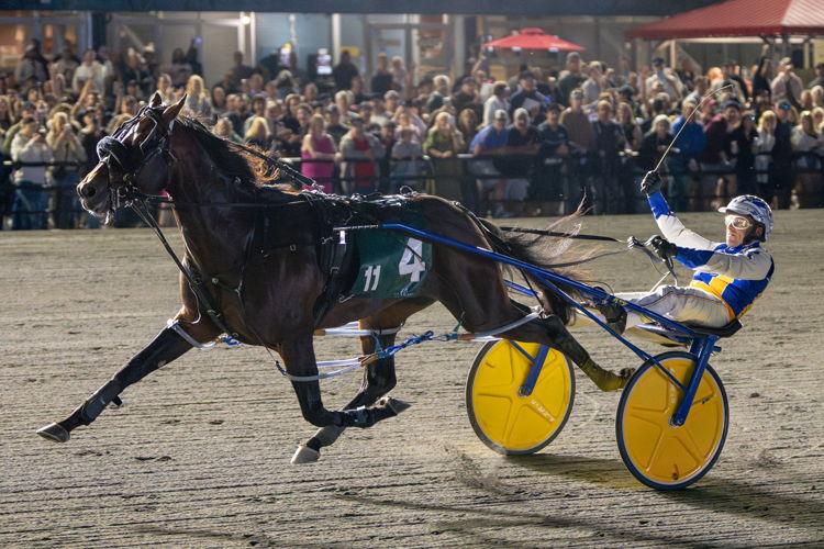 Nijinsky and driver Louis-Philippe Roy winning the 41st Pepsi North America Cup on June 15, 2024 at Woodbine Mohawk Park (Michael Burns Photo))