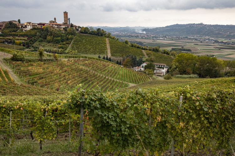 Barbaresco