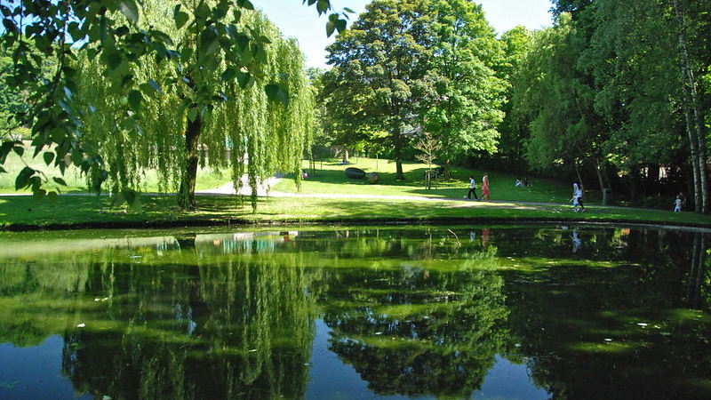 Les enfants bruxellois ont le moins accès aux espaces verts autour des écoles, selon une nouvelle étude de la VUB