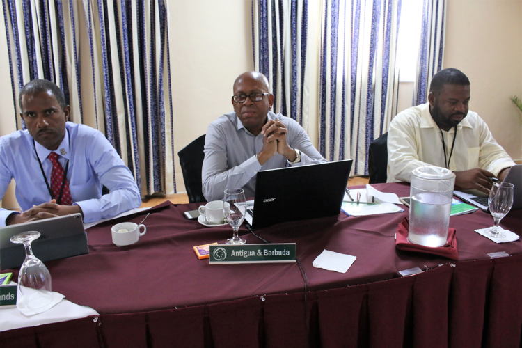 Meeting in Progress