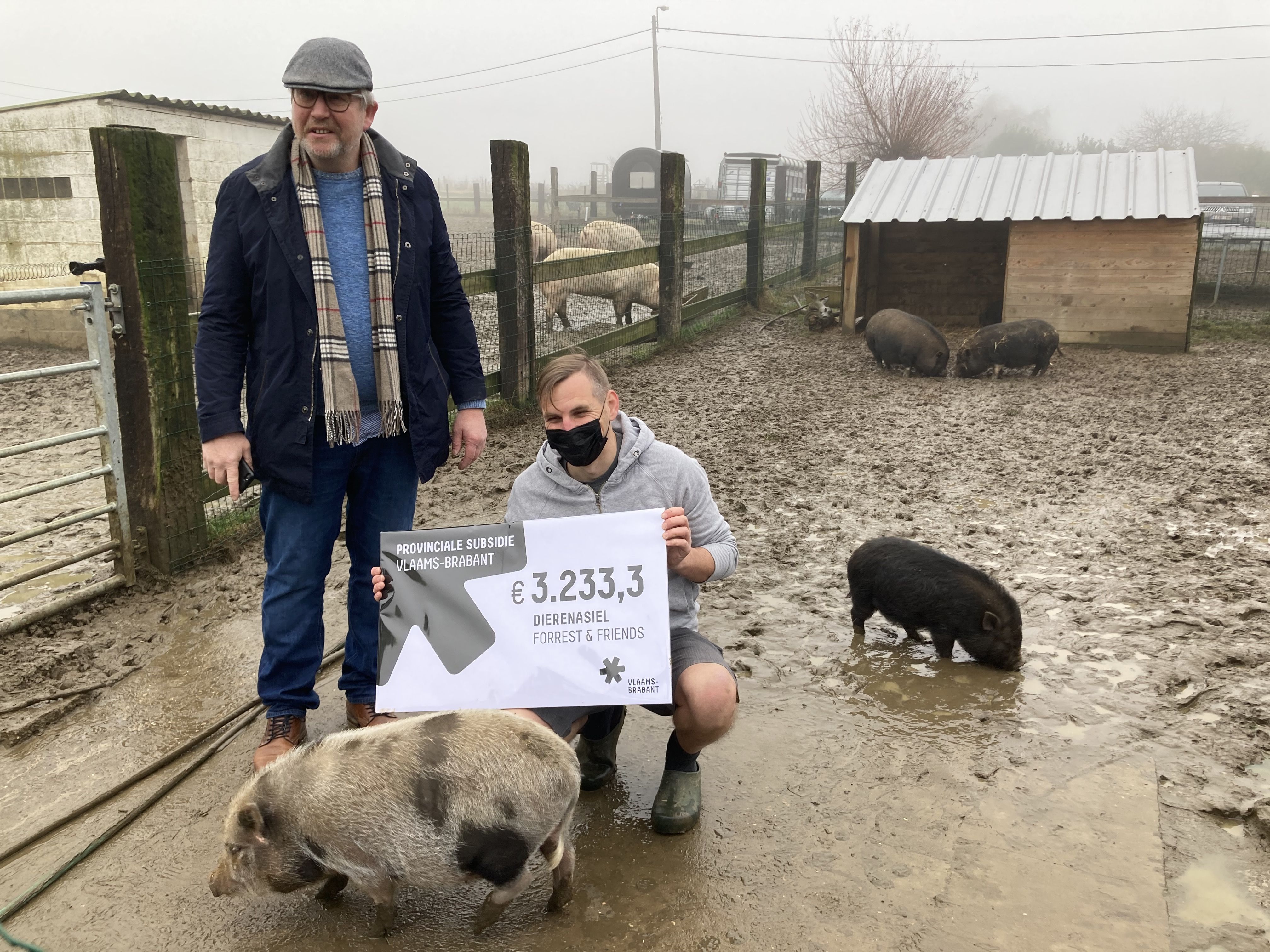 De provincie Vlaams-Brabant steunt de werking van 23 dierenasielen in totaal voor 100.000 euro