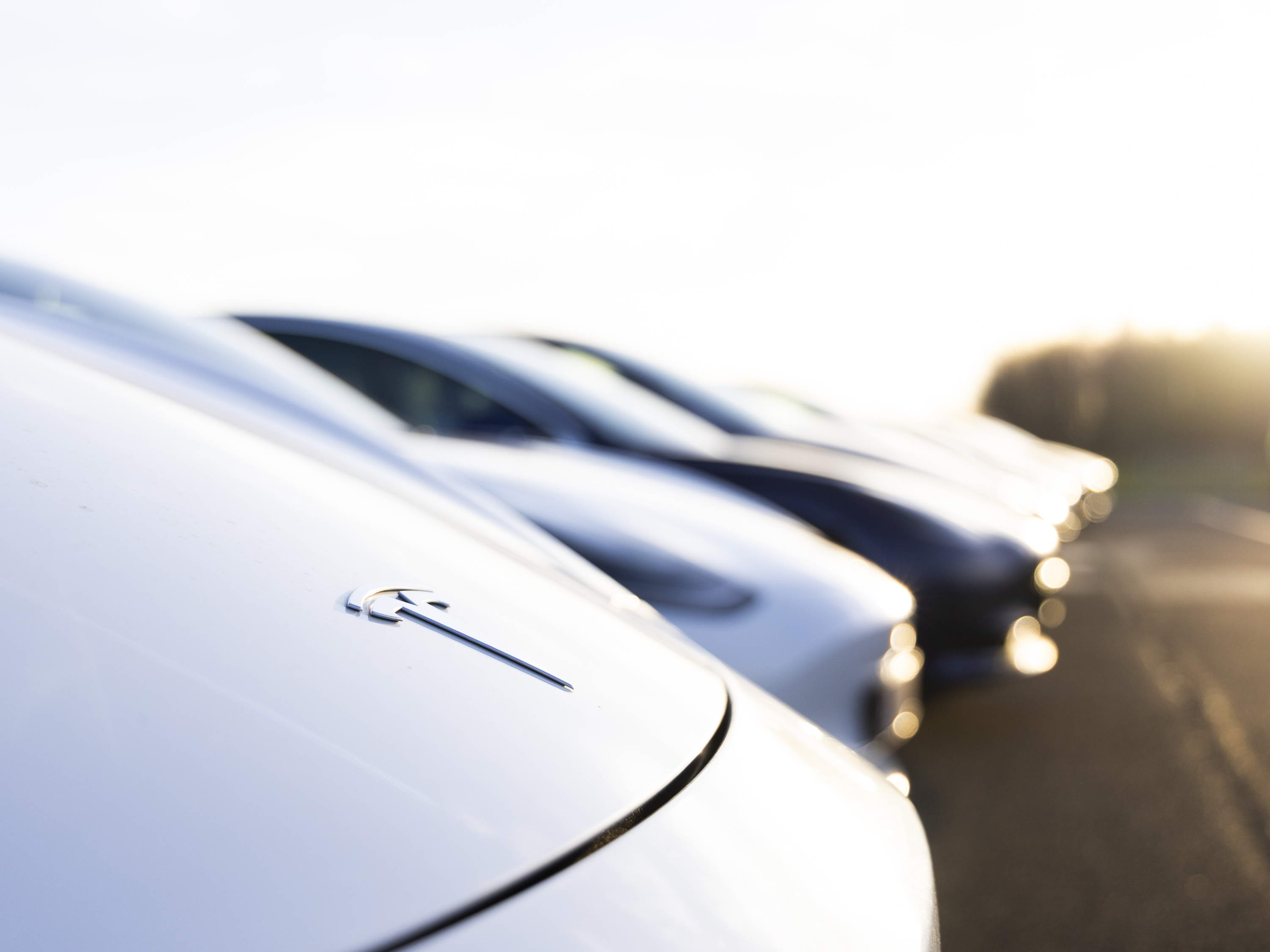 Tesla sales plunge by half in Europe as competition grows