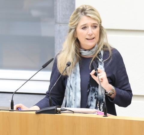 Mercedes Van Volcem
Commissievoorzitter

Voorzitter Commissie voor Bestuurszaken, Binnenlands Bestuur, Inburgering en Stedenbeleid