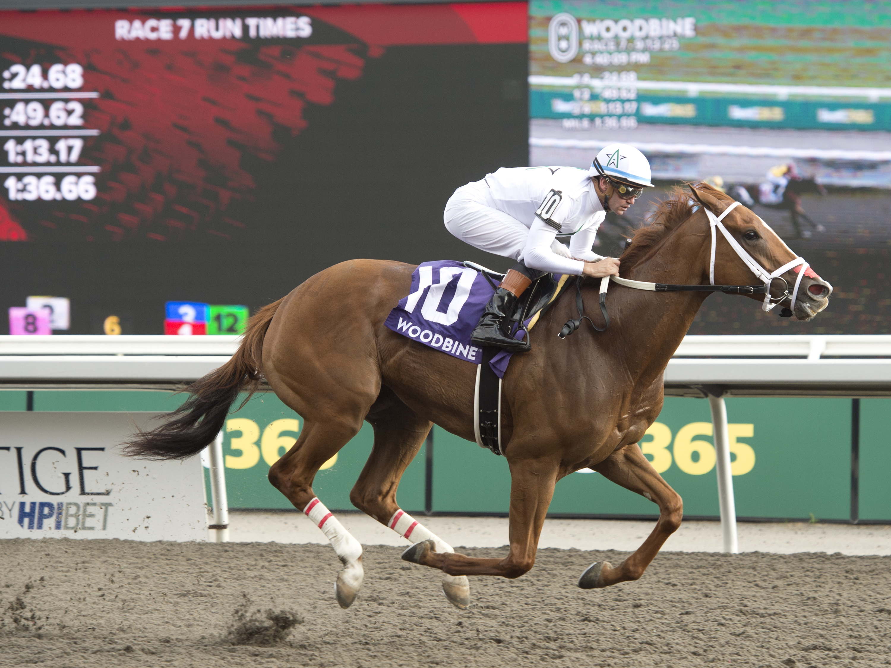 Slam dunk: Caitlinhergrtness much the best in Grade 3 Ontario Matron   