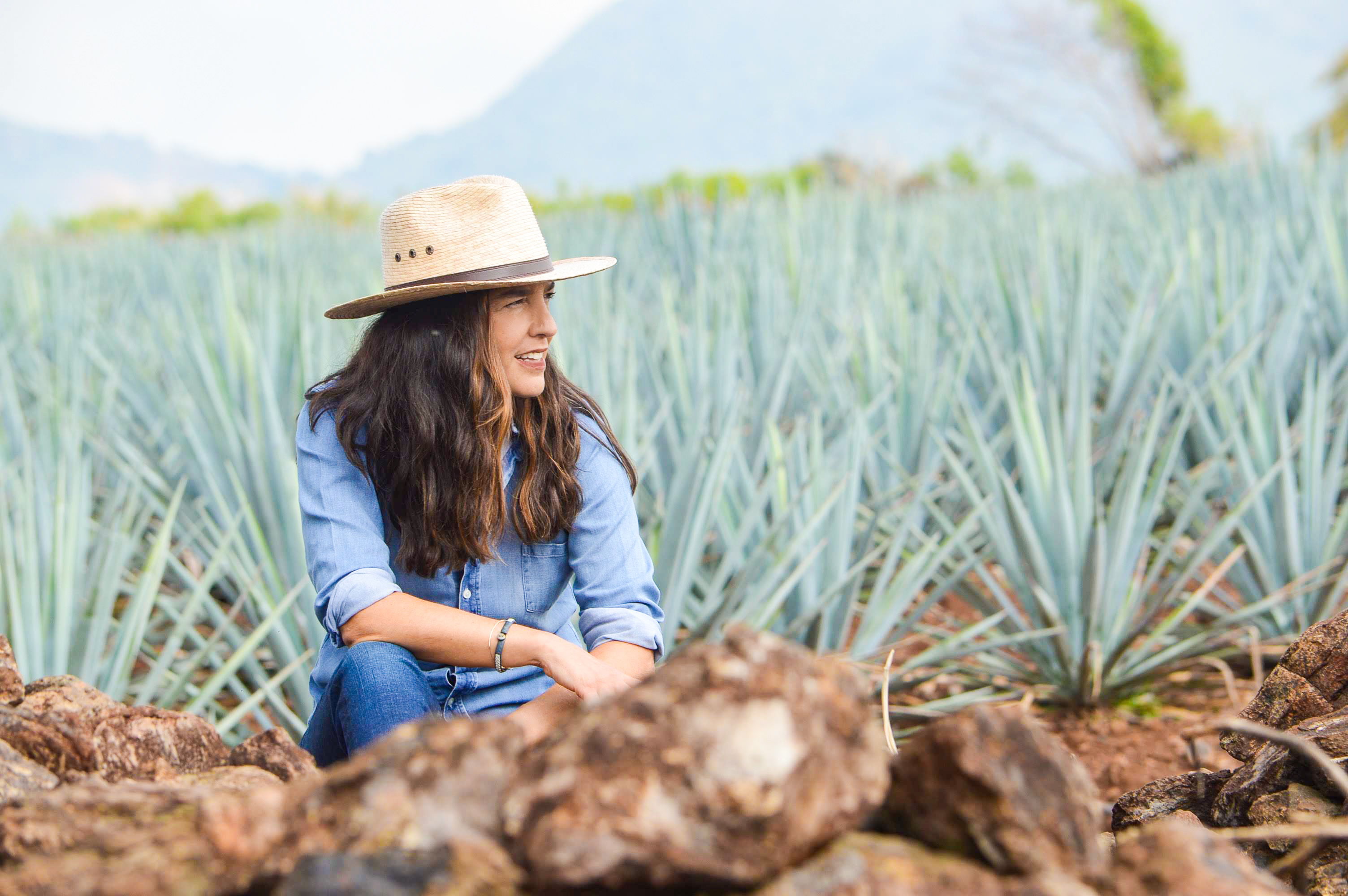 Campos de Agave, Tequila Jalisco