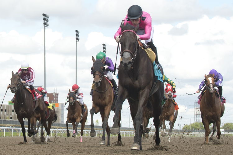 Miss Speedy and jockey Sahin Civaci winning the Bellade Stakes on June 24, 2023 at Woodbine (Michael Burns Photo)