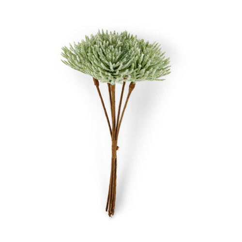 FROST LORK 24CM GREEN €3,95