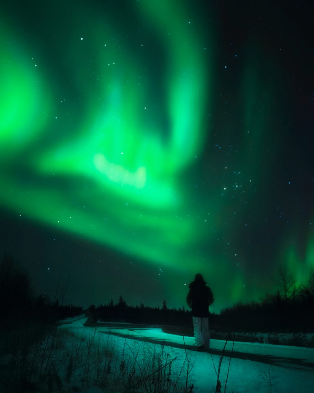 Auroras Boreales, Fairbanks, AK