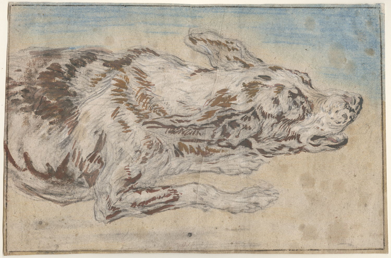 Hond. Joannes Fijt. Uit de collectie van het Museum Plantin-Moretus