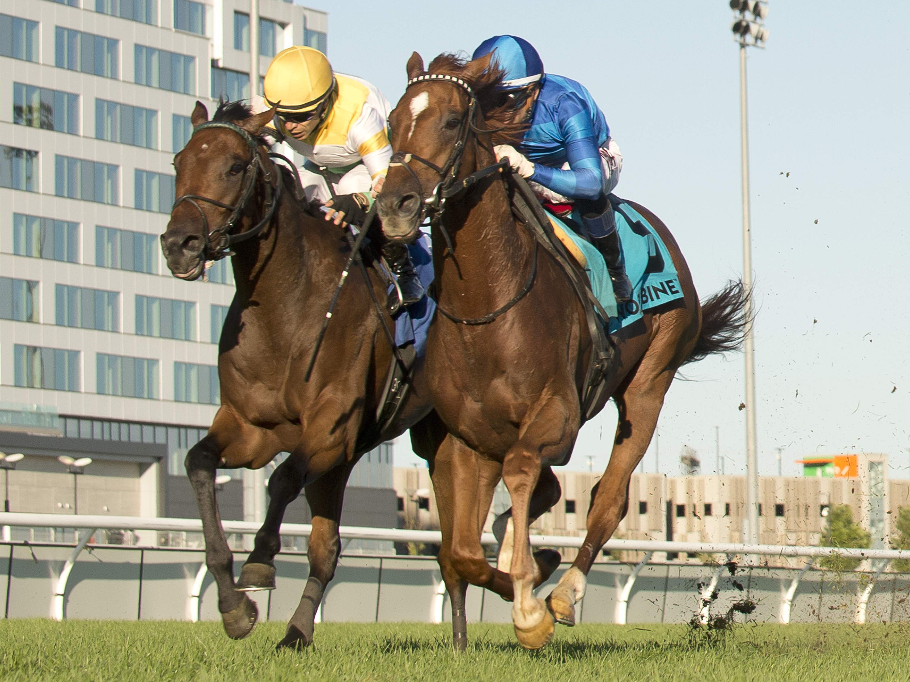 ‘Magic’ time: Tom's Magic digs in to win 135th Breeders’ Stakes