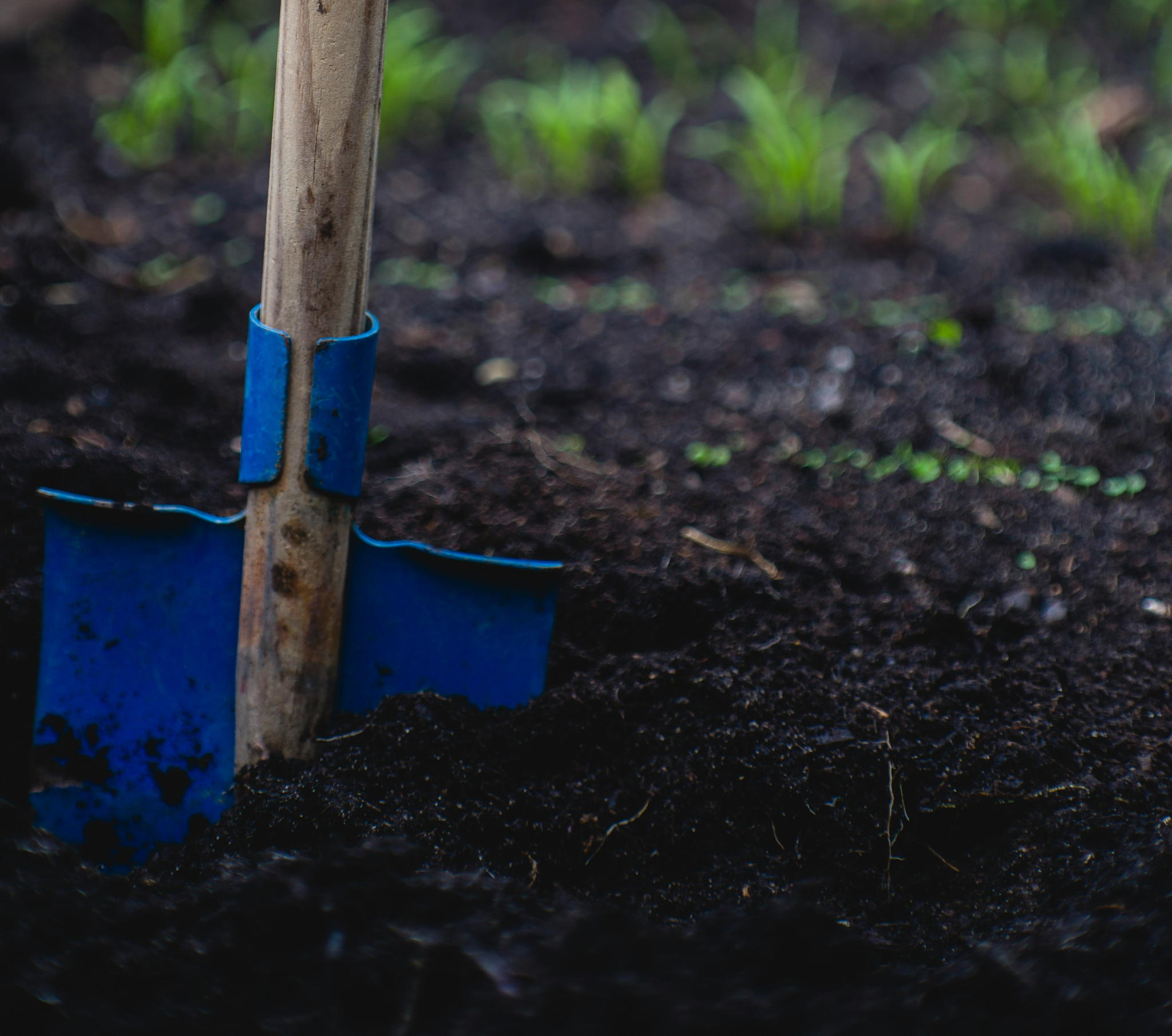 Aveve launches 100% peat-free soil improver and peat-reduced potting soil