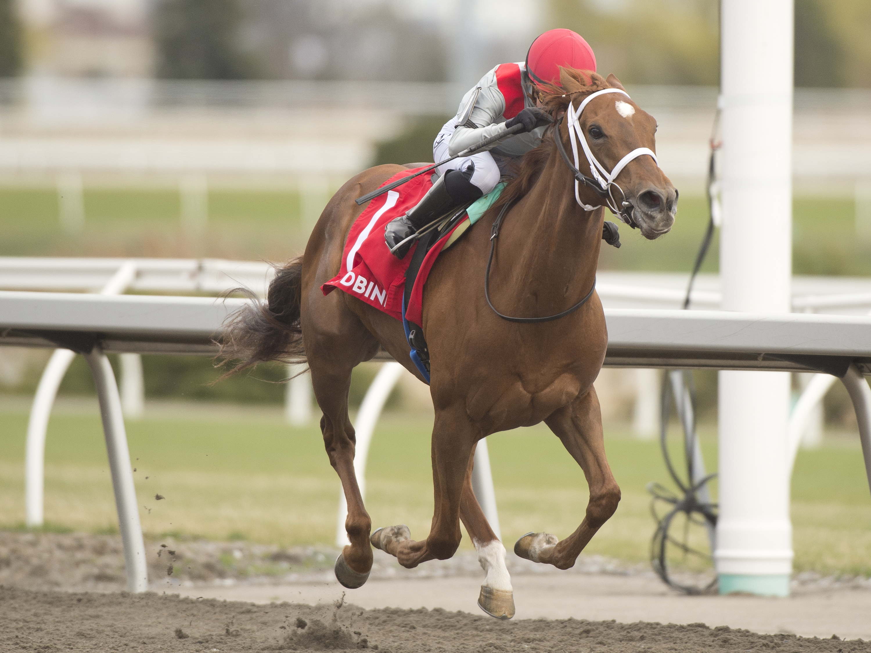 Danner-trained duo delivers in Star Shoot