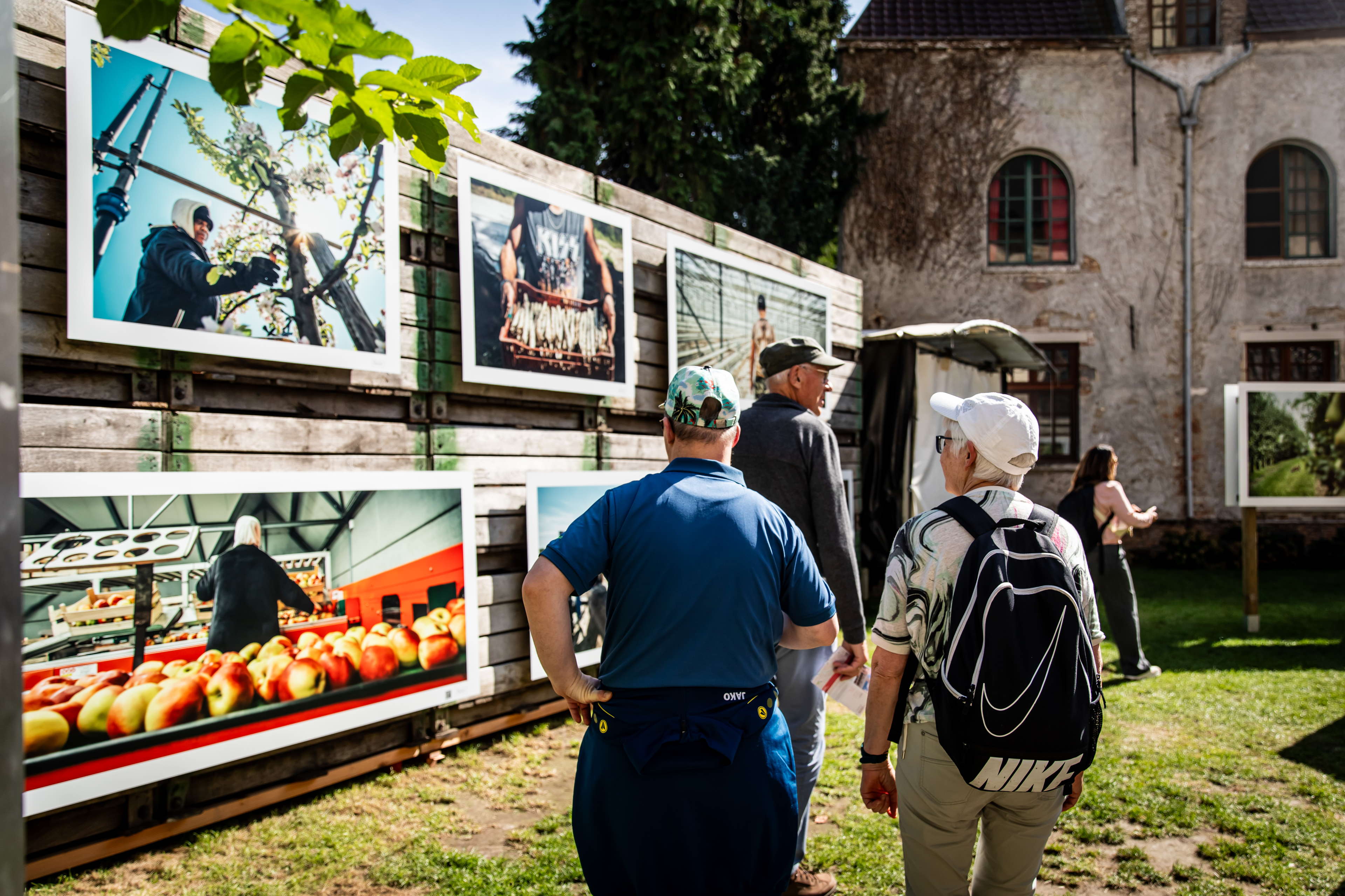 Proef de pop-upexpo ‘RIJP, de kunst van het telen’