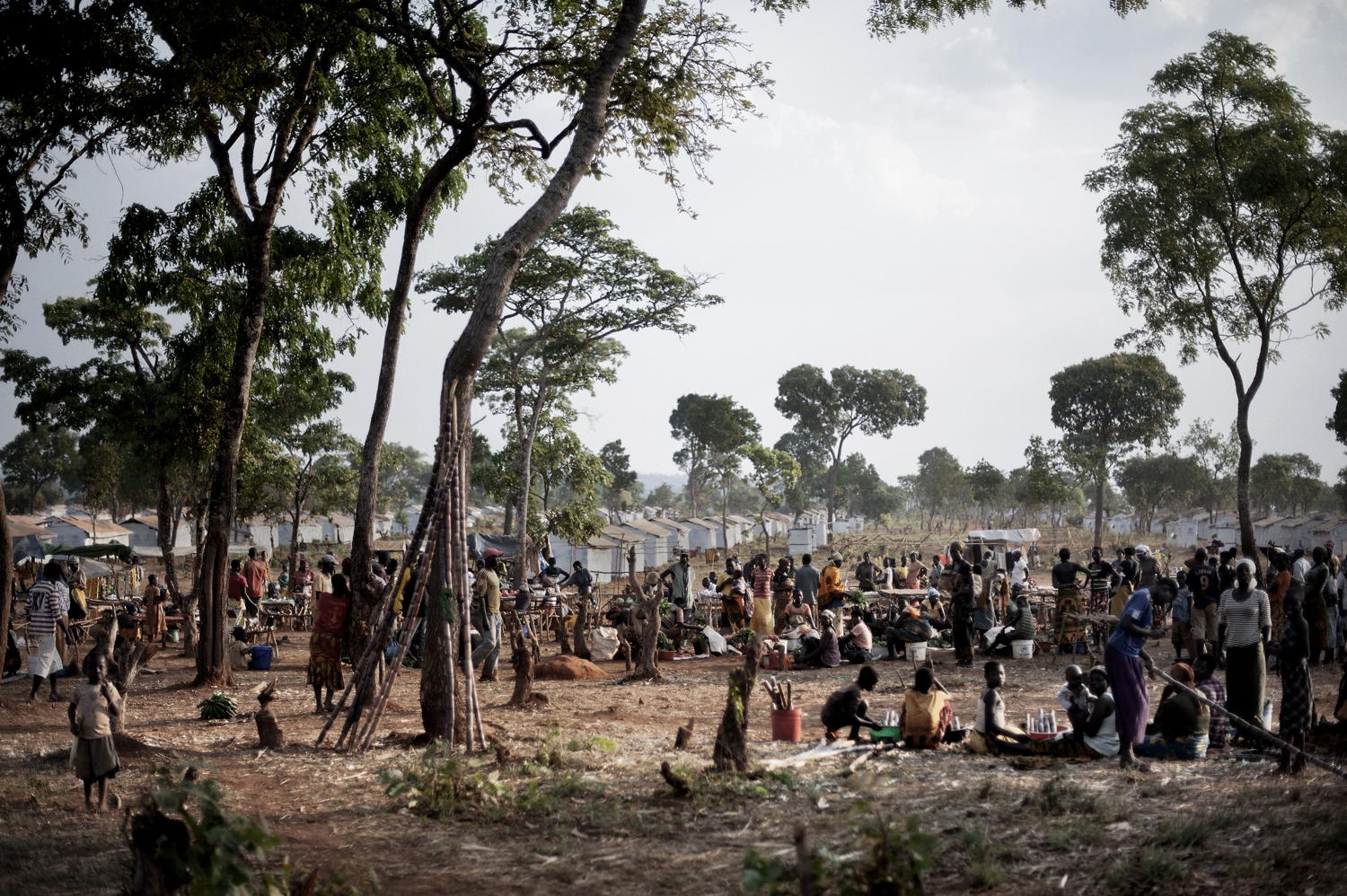 © Luca Sola
Cinq mois après le premier afflux de réfugiés fuyant en Tanzanie l’instabilité politique au Burundi, plus de 100.000 Burundais vivent aujourd’hui dans des conditions pénibles dans deux camps : Nyarugusu et Nduta.
