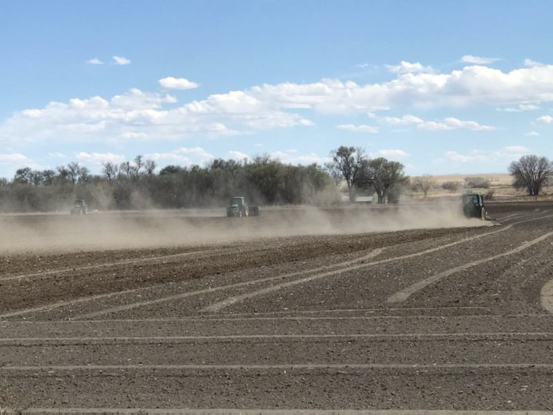 A great Rocky Ford Cantaloupe season starts with working the ground to prepare it for planting, laying down drip lines and row covers, and finally, planting seeds and seedlings that will grow into those sweet and juicy Rocky Ford Cantaloupe, Watermelon and Honeydew melon that Rocky Ford is famous for!