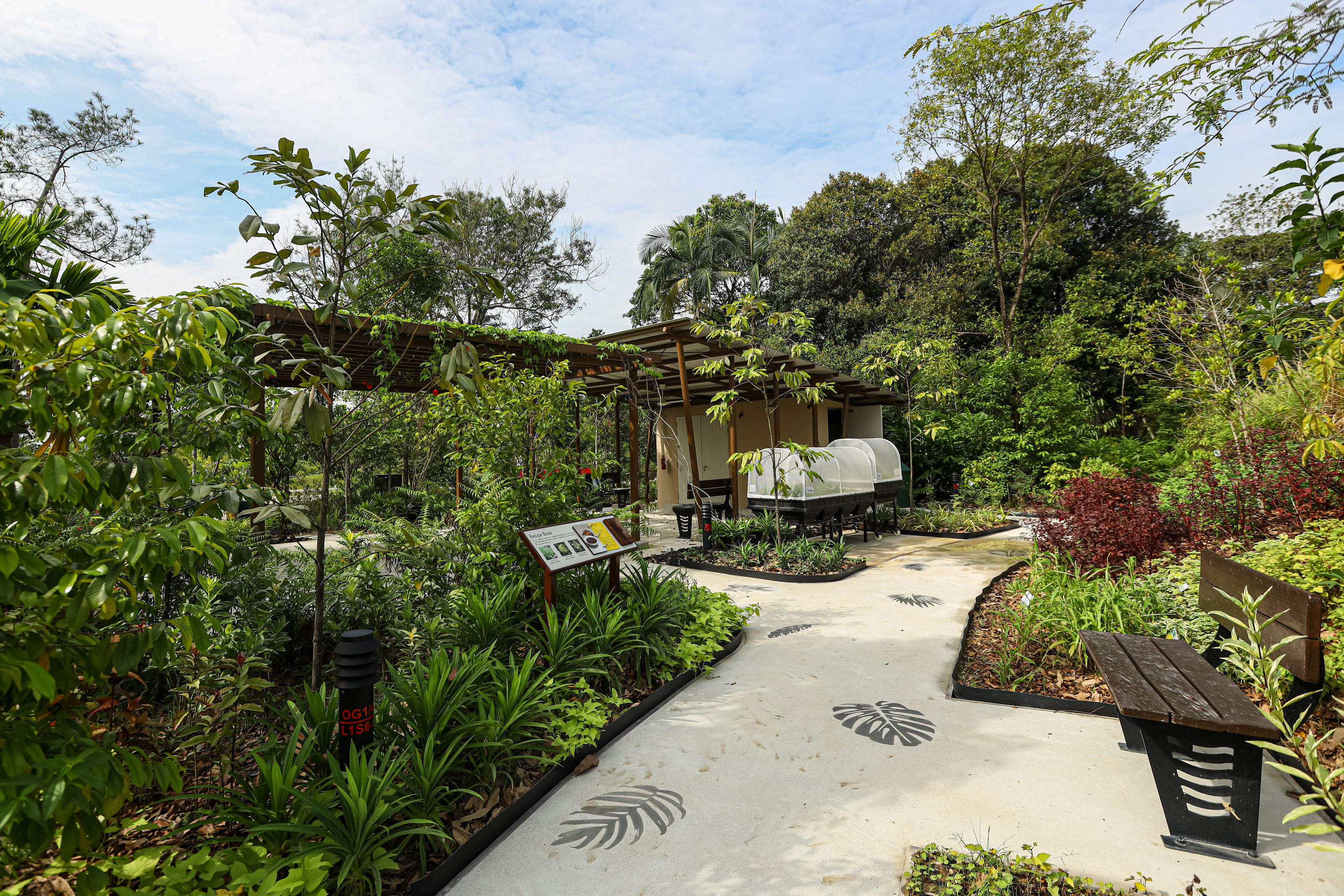 Therapeutic Garden by NParks at Jurong Lake Garden. Image courtesy of NParks