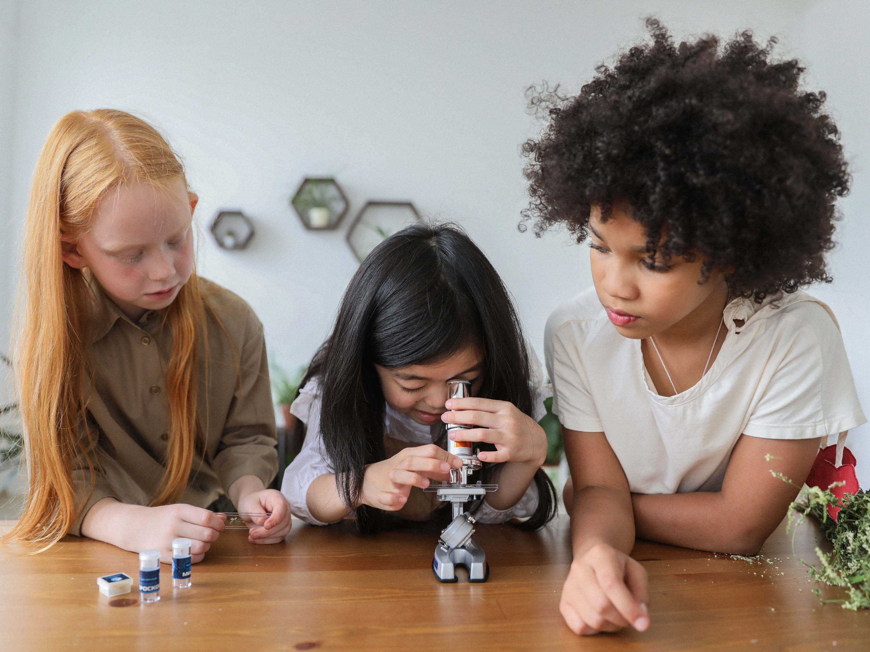 ¡MUJERES Y NIÑAS EN LA CIENCIA Y LA TECNOLOGÍA SIEMPRE!