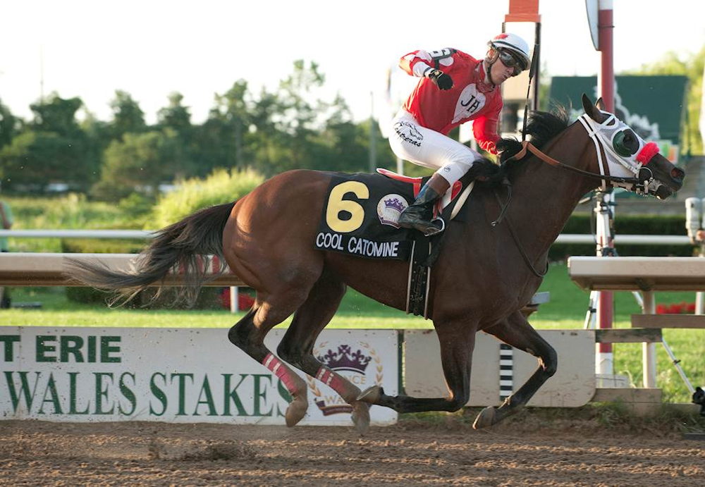 Cool Catomine and jockey Luis Contreras winning the 2017 Prince of Wales Stakes at Fort Erie Race Track (Michael Burns Photo)