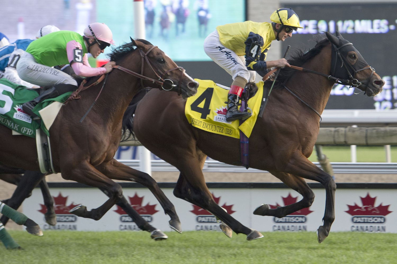 Desert Encounter and jockey Andrea Atzeni winning the Canadian International on October 12, 2019 at Woodbine (Michael Burns Photo)