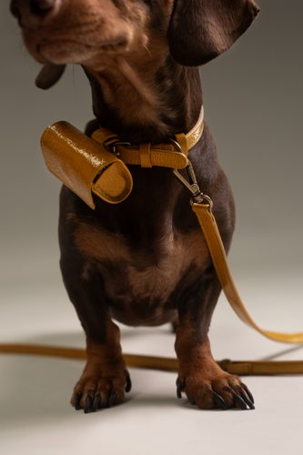 Mieke Dierckx_Amigo Collectie_Poopbag_35€ (1)