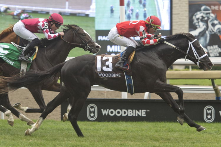 Philip My Dear winning the Cup and Saucer Stakes on October 9, 2022 at Woodbine. (Michael Burns Photo)