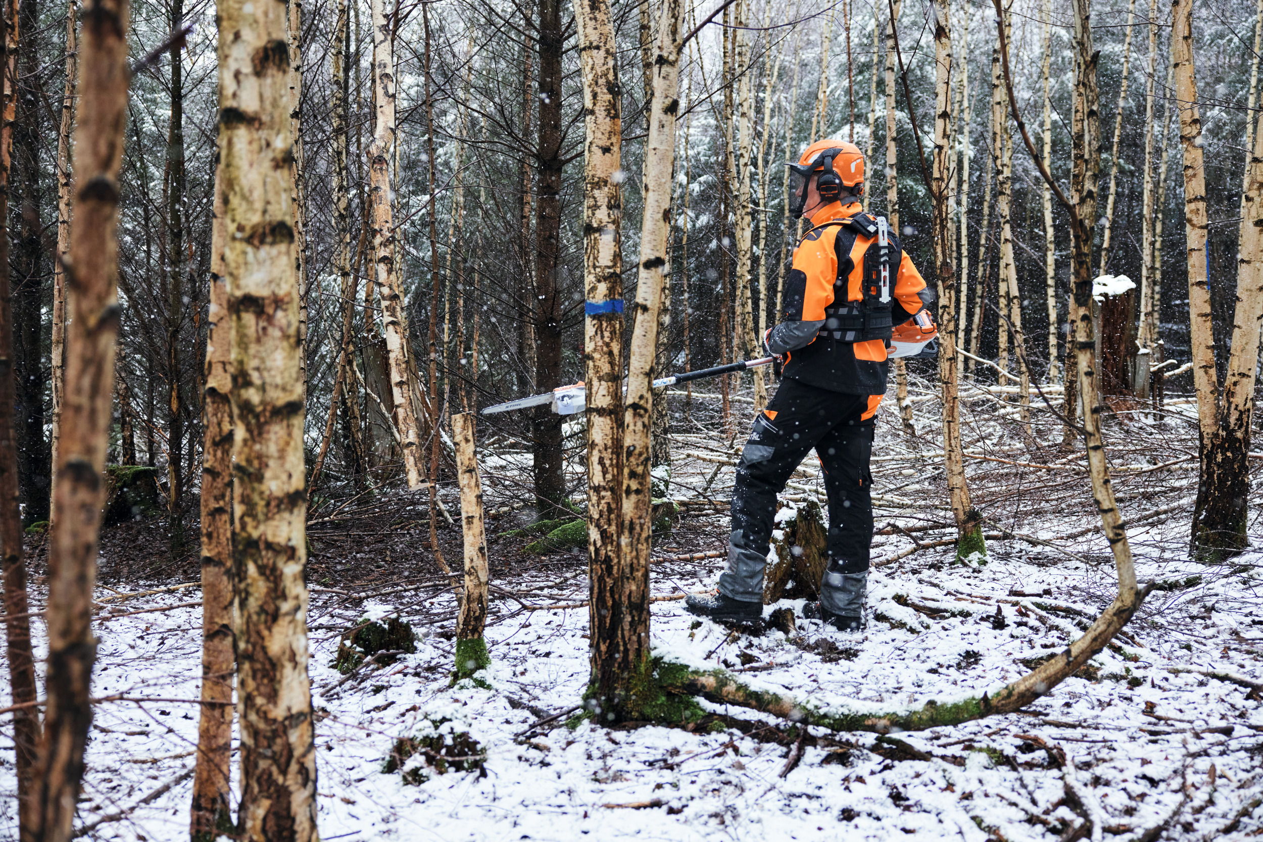 La puissante tronçonneuse d’élagage de STIHL assure un guidage précis et permet de travailler confortablement en position debout lors de l’entretien de jeunes peuplements ou de la régulation des peuplements mixtes en forêt.