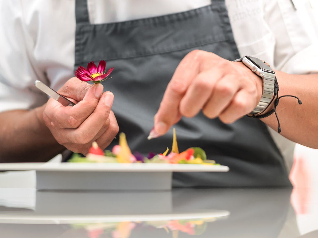 I migliori chef internazionali svelano i segreti per cucinare con le verdure nel nuovo libro di ricette "Radilicious”