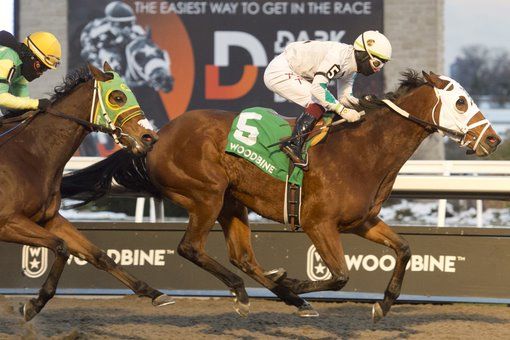 Strega and jockey Kazushi Kimura winning the Ashbridges Bay Stakes on November 18, 2022 at Woodbine (Michael Burns Photo)