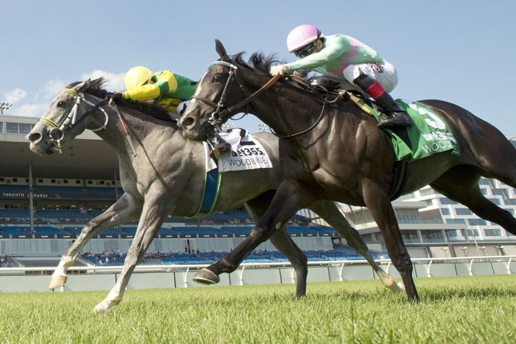 Little Teddy and jockey Kazushi Kimura winning the Georgian Bay Stakes on July 7, 2024 at Woodbine (Michael Burns Photo)