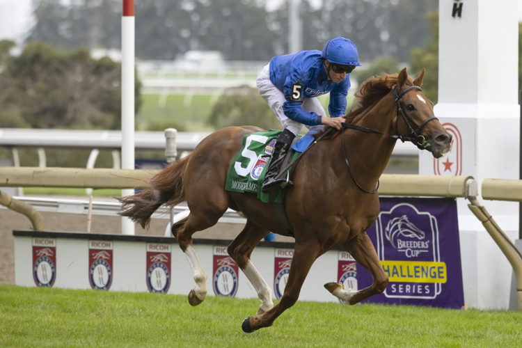 Modern Games and jockey William Buick winning the 2022 Ricoh Woodbine Mile (Michael Burns Photo) 