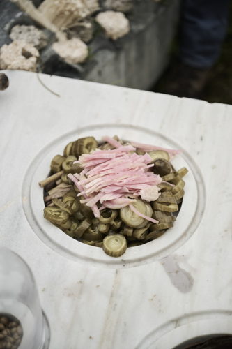 MIDDELHEIMMUSEUM: Andrés Jaque / Office for Political Innovation, Transspecies Kitchen, 2022 © The Artist – Photo: studio pramudiya, npi