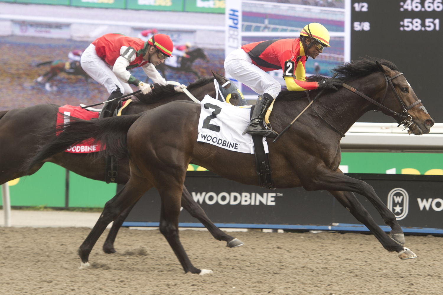 Midnight Mascot and jockey Patrick Husbands winning the Woodstock Stakes on April 28, 2024 at Woodbine (Michael Burns Photo)