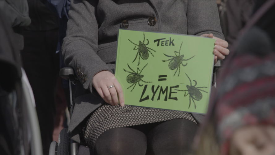 Chronische Lyme, epidemie of fantasie? - (c) VRT