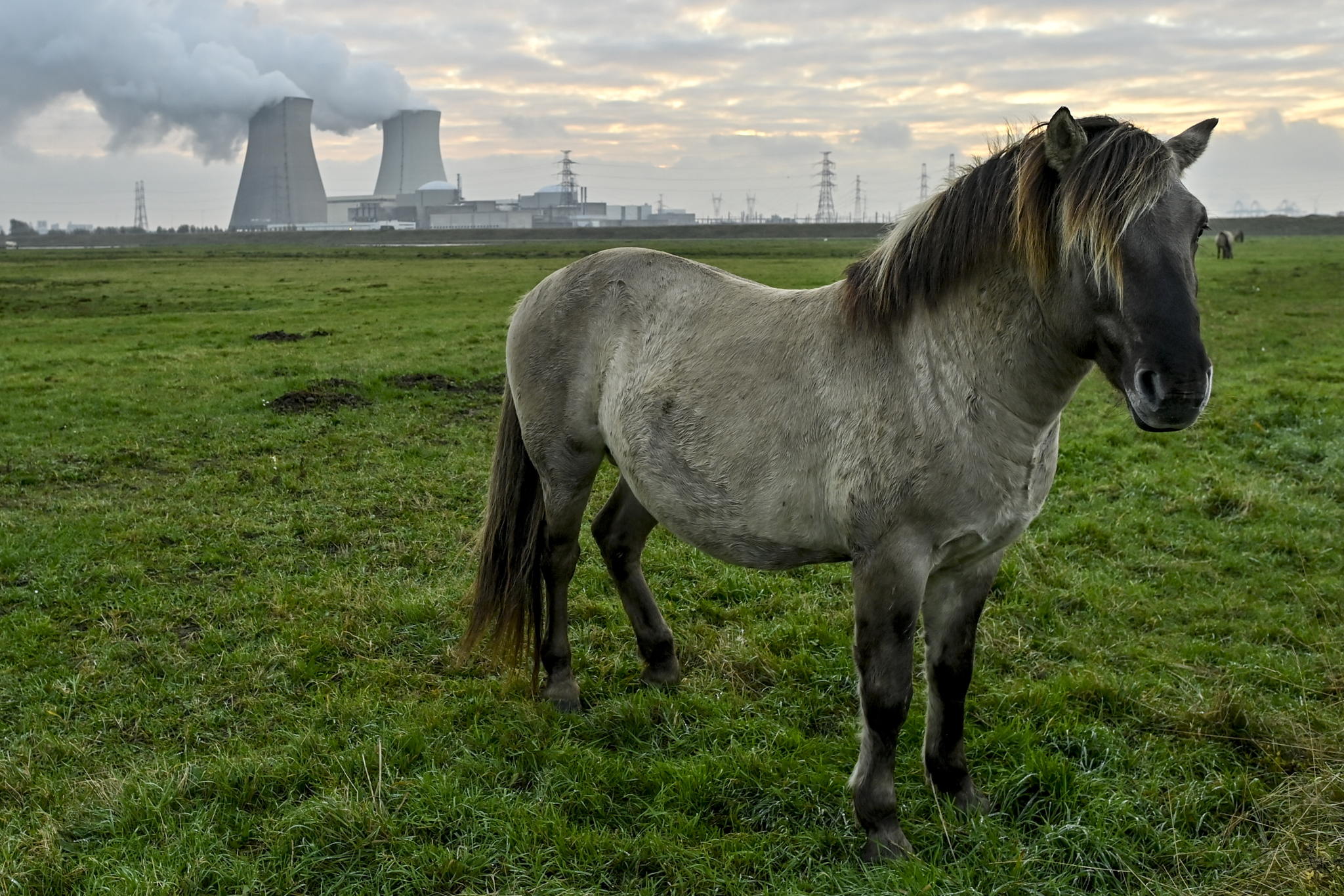 Big energy users call for probe into extending Belgium’s nuclear plants