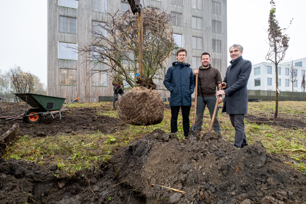 Persbericht: Allereerste ‘bedrijfs’voedselbos aangeplant in Mechelen