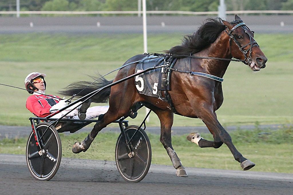 Fast As The Wind winning a Goodtimes elimination. (New Image Media)