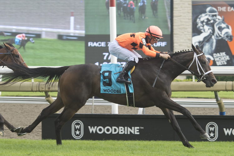 Mohawk Trail and jockey Adam Beschizza winning the Ontario Colleen Stakes on July 22, 2023 at Woodbine (Michael Burns Photo)