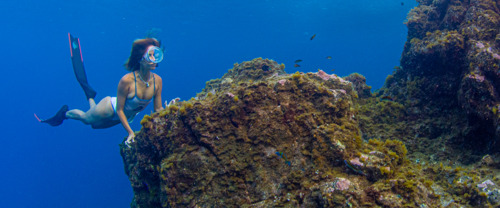 Dit zijn de vijf beste snorkelspots in Tenerife  