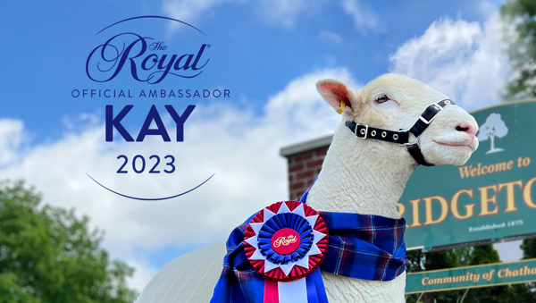 THE ROYAL RETURNS: CELEBRATE THE BEST IN AGRICULTURE, FOOD AND EQUESTRIAN COMPETITIONS FROM NOVEMBER 3 - 12, 2023