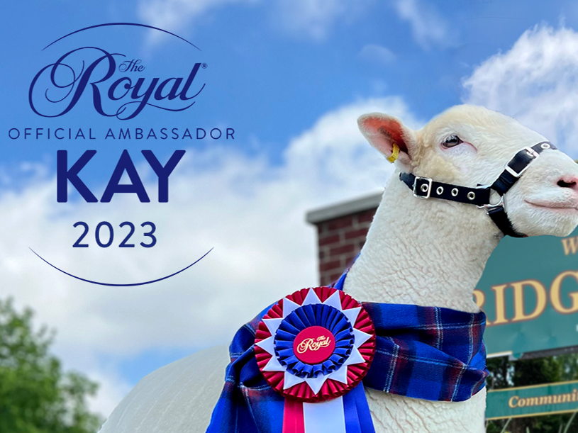THE ROYAL RETURNS: CELEBRATE THE BEST IN AGRICULTURE, FOOD AND EQUESTRIAN COMPETITIONS FROM NOVEMBER 3 - 12, 2023