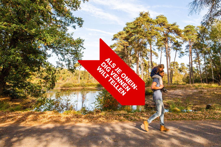 Oisterwijkse bossen en vennen