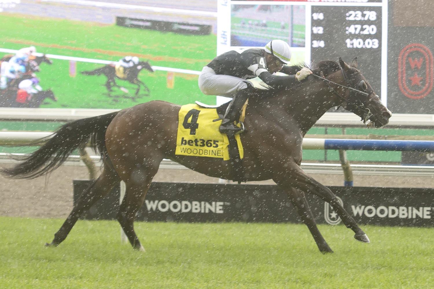 Dancing Duchess and jockey Sahin Civaci winning the Alywow Stakes on June 22, 2024 at Woodbine (Michael Burns Photo)