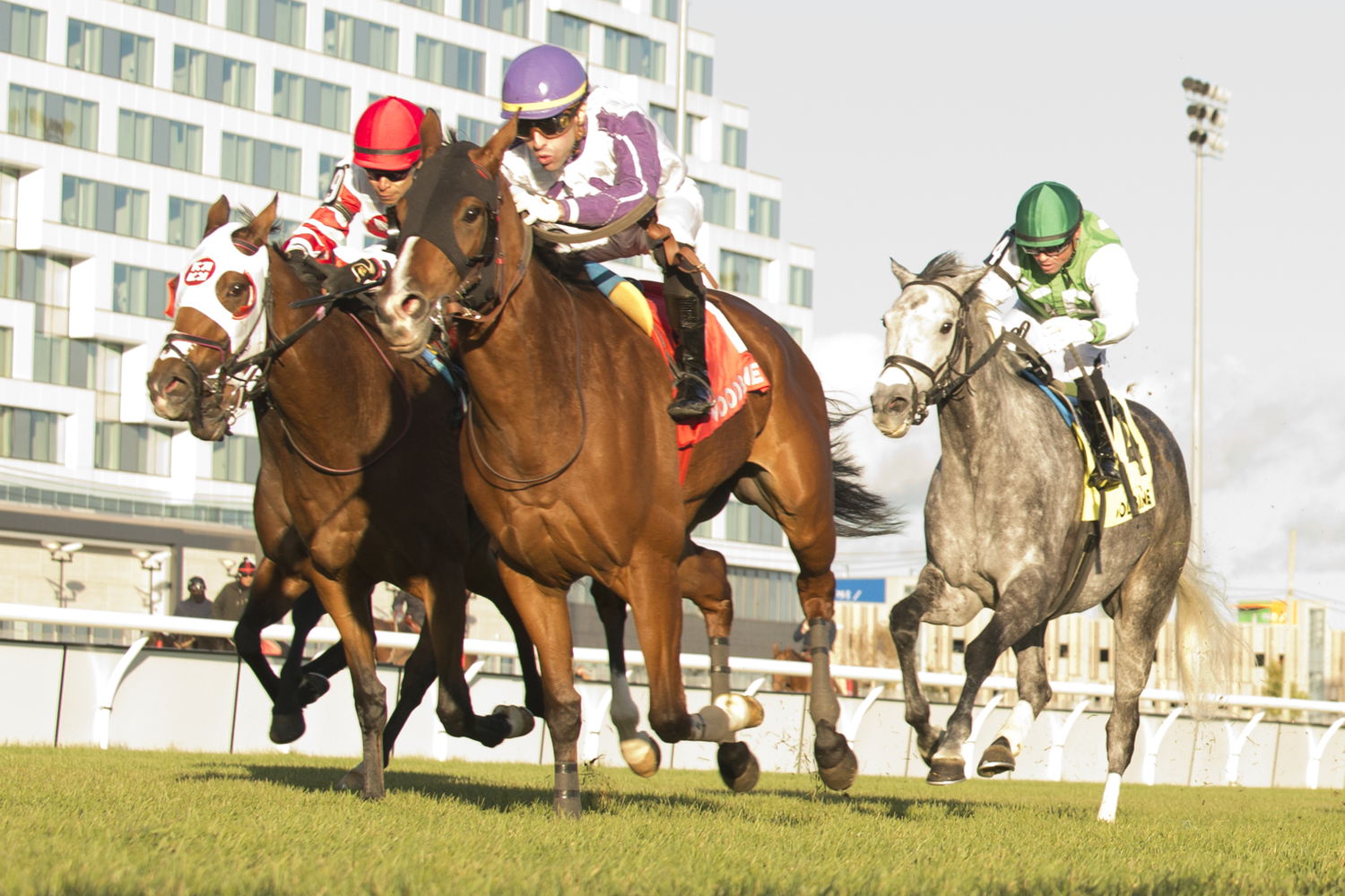 Taquanyah and jockey Leo Salles winning the Eternal Search Stakes on October 26, 2024 at Woodbine (Michael Burns Photo)