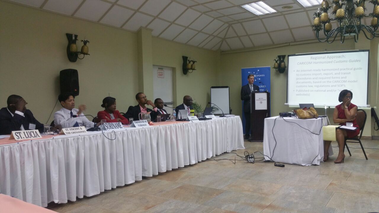 Private Sector Capacity-Building Consultations