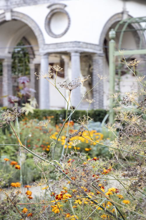 Tuin Rubenshuis herfst 2024, Venkel, foto Ans Brys