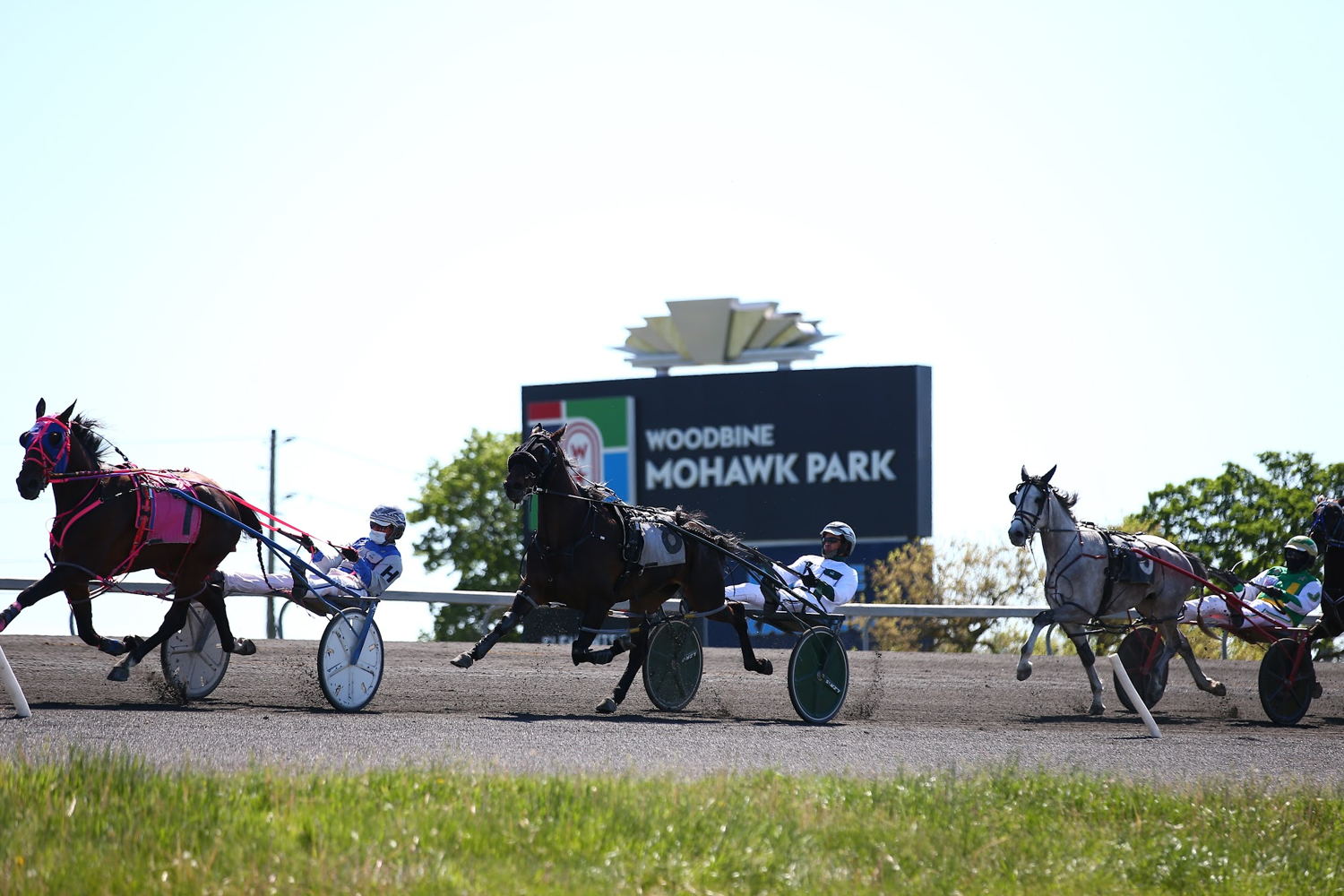 Horses round the final turn at Woodbine Mohawk Park during May 2021 action. (New Image Media)