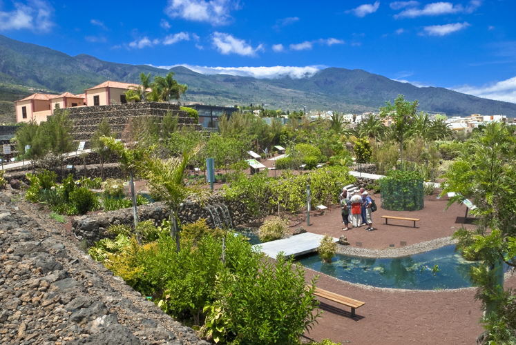 Pirámides de Güímar - Jardín Venenoso