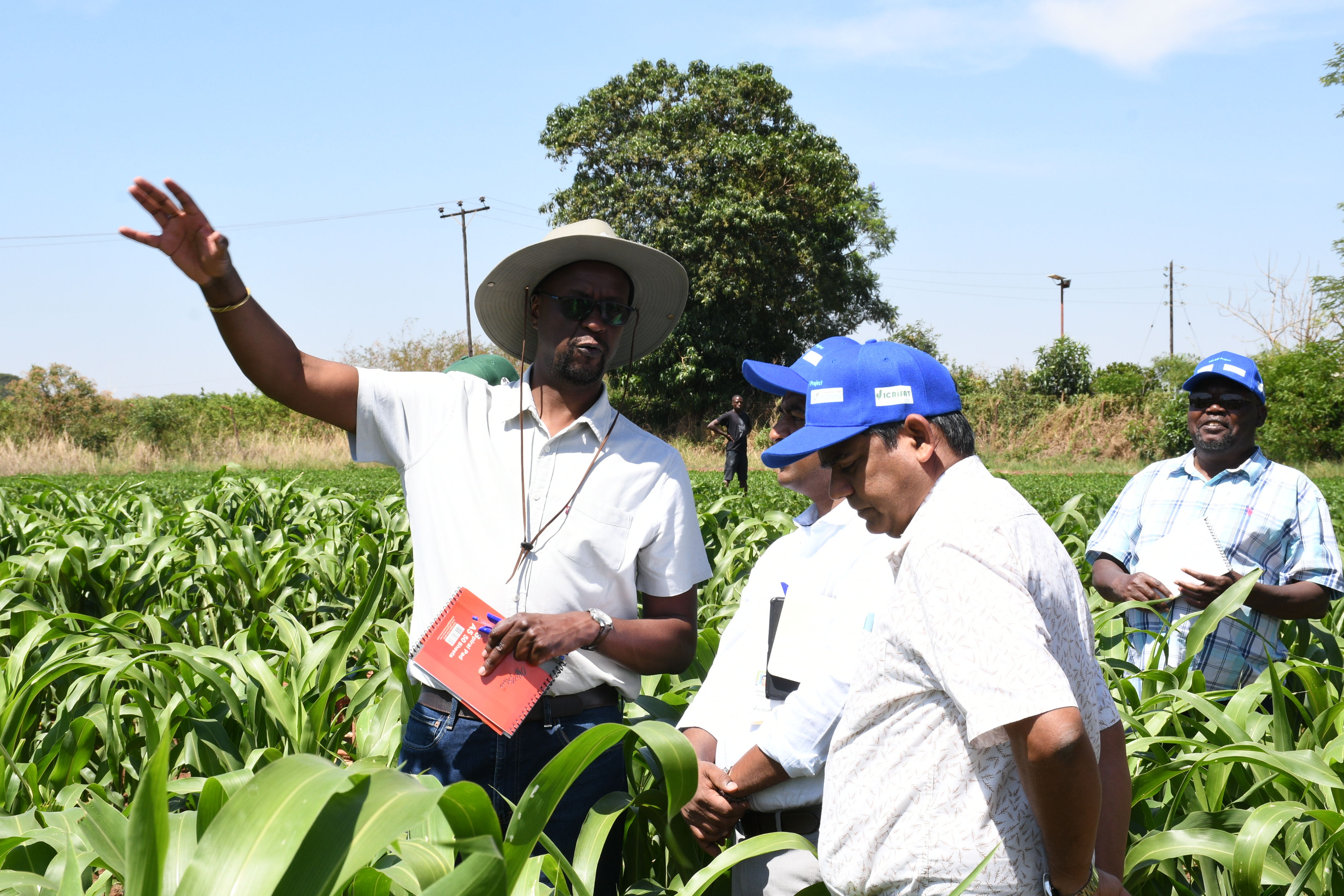 Plant pathologists, breeders, policymakers, and stakeholders share knowledge and expertise.