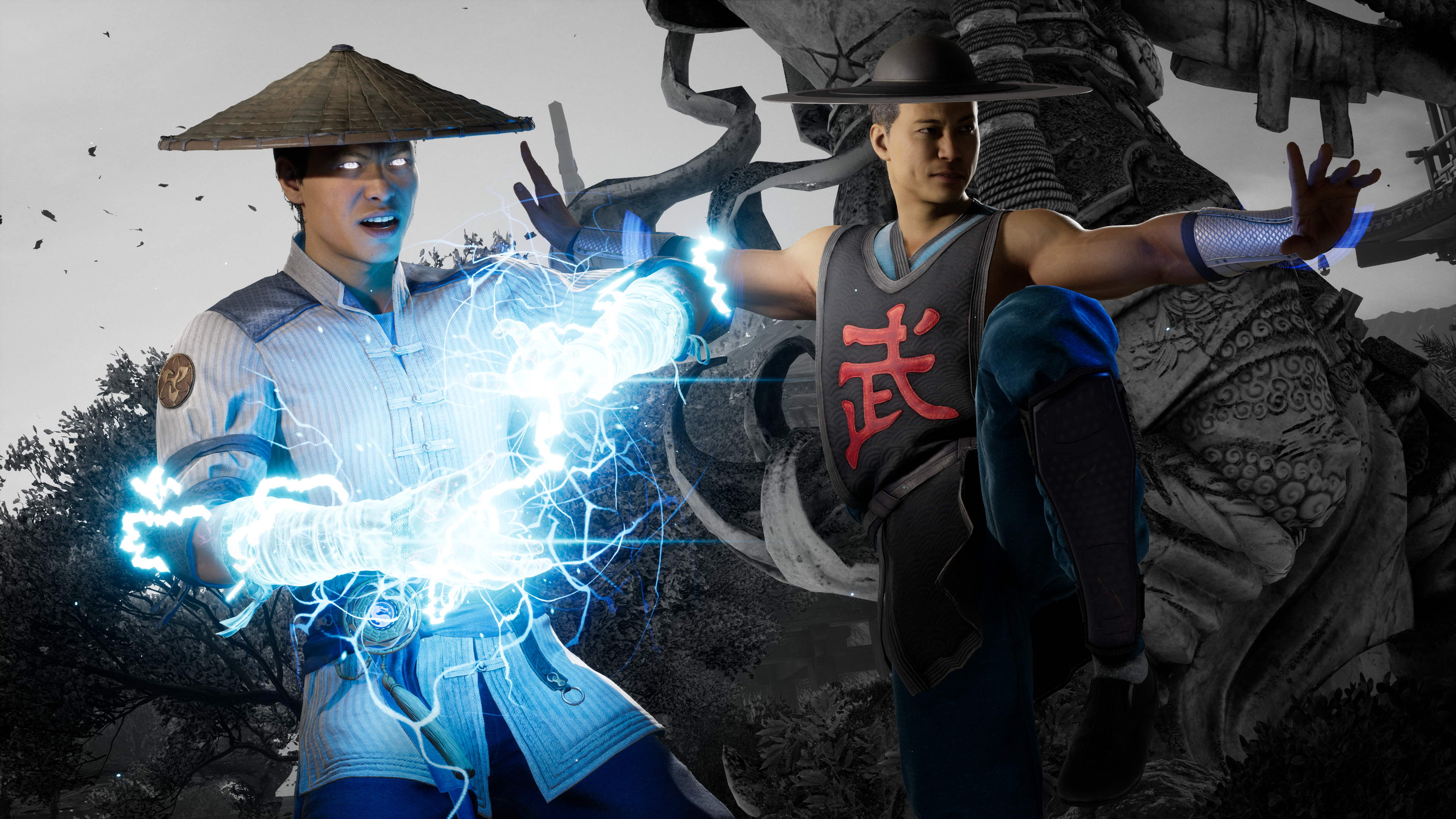 Mortal Kombat 1 Raiden & Kung Lao Mortal Kombat 1 Raiden & Kung Lao