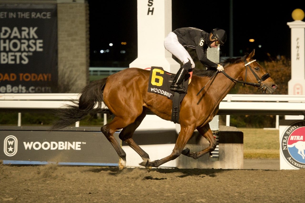 Il Malocchio and jockey Sahin Civaci winning the La Prevoyante Stakes on Saturday at Woodbine (Michael Burns Photo)